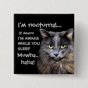 Funny Cat is Nocturnal Evil Laugh 15 Cm Square Badge