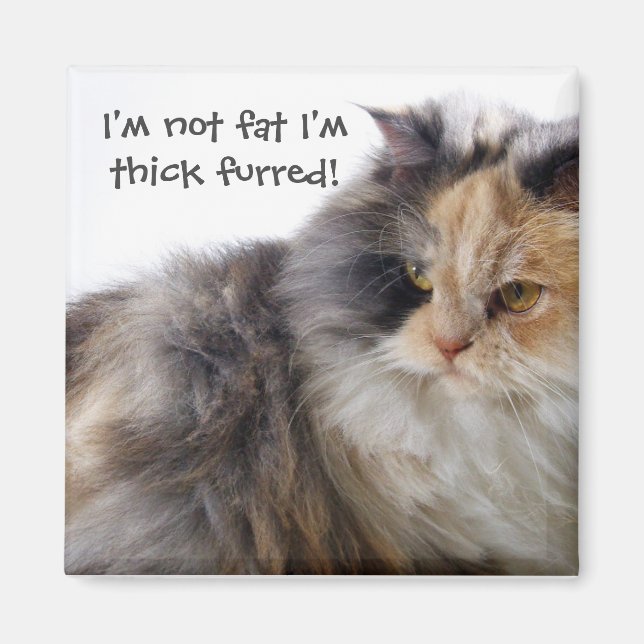Funny Cat is Not Fat! Thick Furred Magnet (Front)