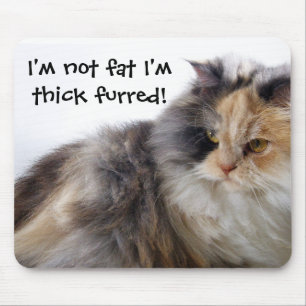 Funny Cat is Not Fat! Thick Furred Mouse Pad
