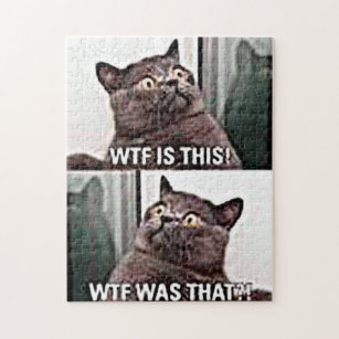 Funny Cat Captions Gifts On Zazzle Nz