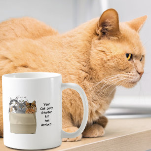 Funny Cat Lady Starter Kit Humour White Coffee Mug