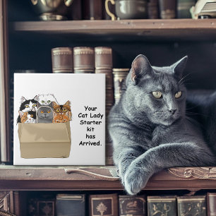 Funny Cat Lady Starter Kit Humour White Tile