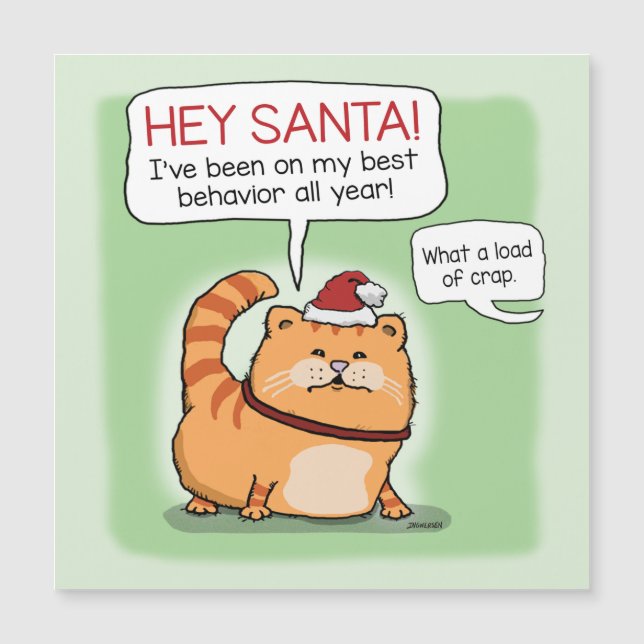 Funny Cat Lies to Santa Claus Christmas (Front)