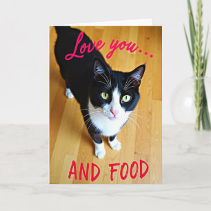 Funny Cat Love Food Card