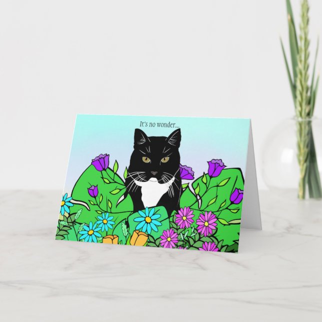Funny Cat Lover Birthday Card (Front)