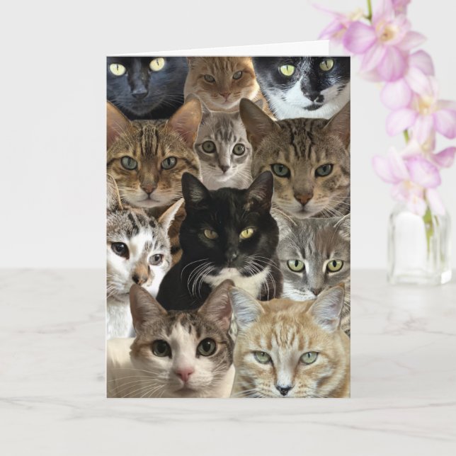 Funny Cat Lover Birthday Card (Orchid)