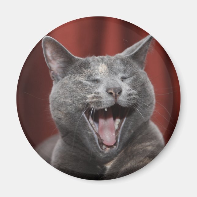 Funny cat magnet (Front)