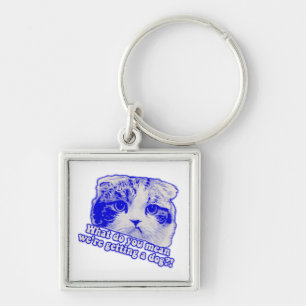Funny cat meme for cat lovers and cat owners key ring