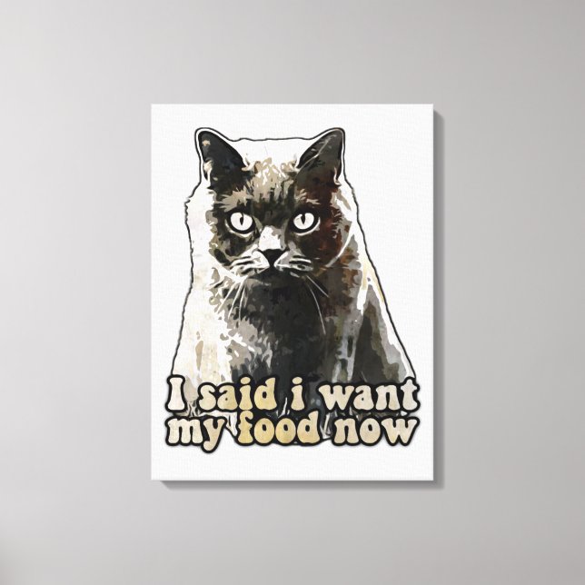 Funny cat meme for cat lovers and kitten owners canvas print (Front)