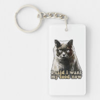 Funny cat meme for cat lovers and kitten owners