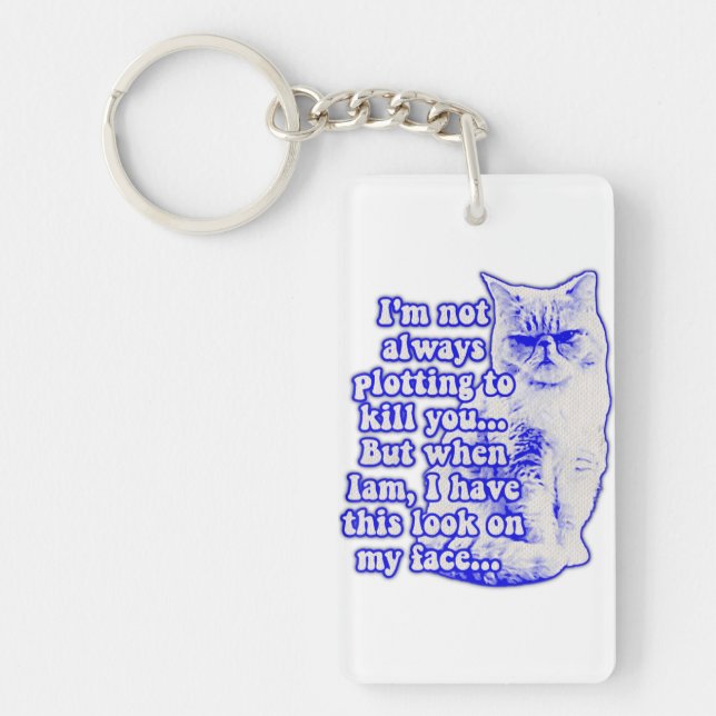 Funny cat meme for cat owners and kitty lovers key ring (Front)