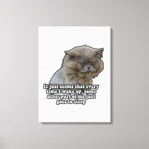 Funny cat meme for kitty lovers and cat owners canvas print
