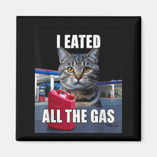 Funny Cat Meme I Eated Wanted All The Gas Funny Me Magnet