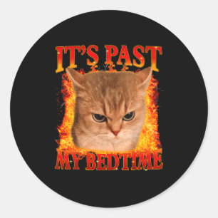 Funny cat meme past bedtime men women kids teen classic round sticker