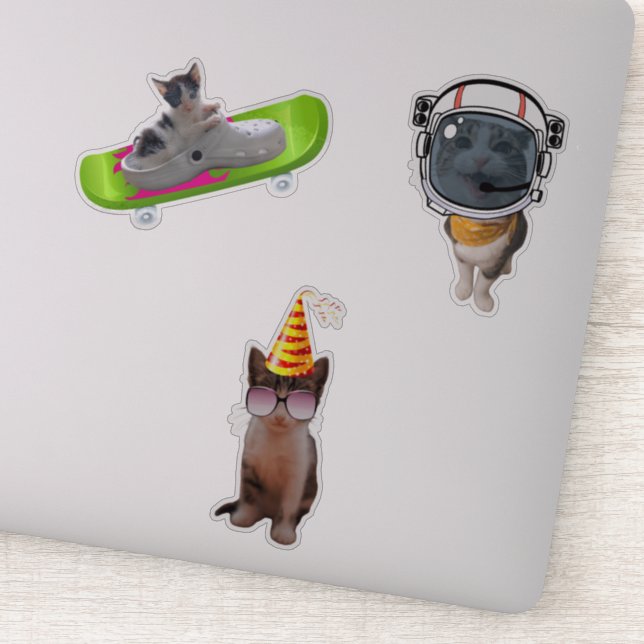 Funny Cat Memes (Detail)