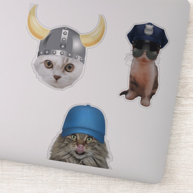 Funny Cat Memes (Detail)