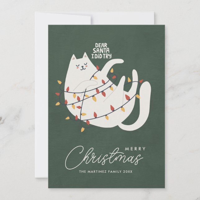 Funny Cat Merry Christmas Greeting Holiday Card (Front)