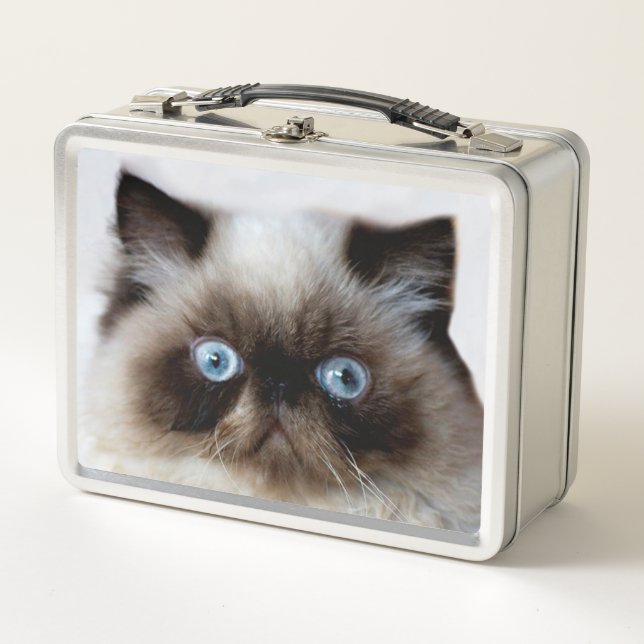Funny Cat Metal Lunch Box (Front)