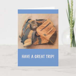 Funny Cat Miss You Card