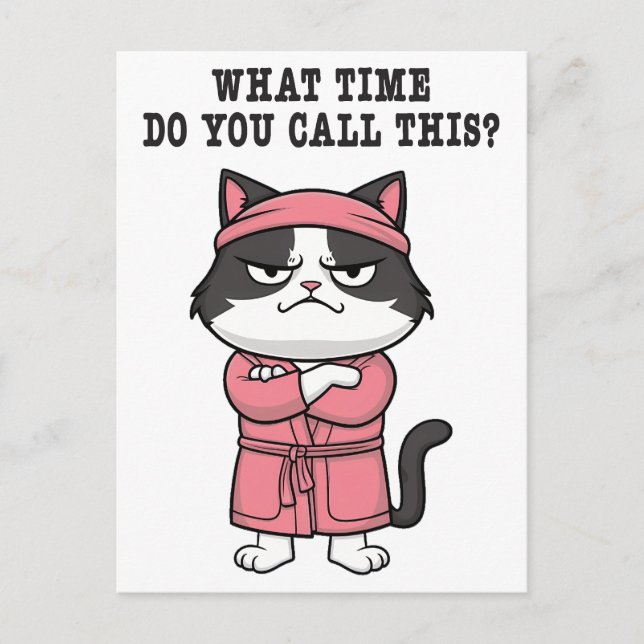 Funny Cat Missed Curfew  Postcard (Front)