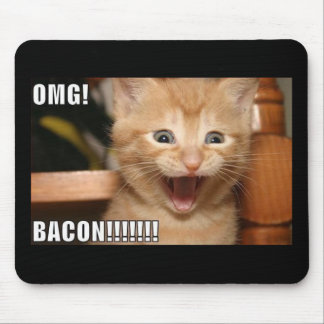 funny cat mouse pad