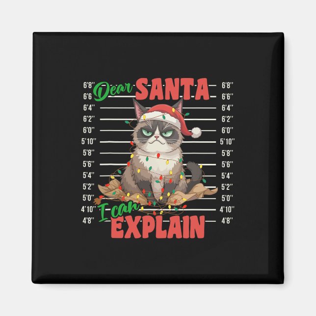 Funny Cat Mugshot Dear Santa I Can Explain Christm Magnet (Front)
