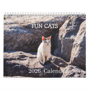 Funny Cat Photo Calendar – Whiskers and Chaos