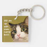 Funny Cat Photo Catnip Caption