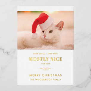 Funny Cat Photo Dear Santa Christmas
