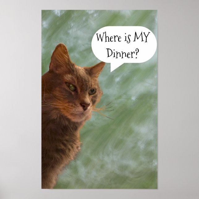 Funny Cat Photo Poster (Front)