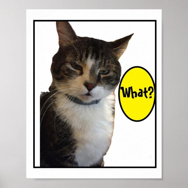 Funny Cat Photo Poster (Front)