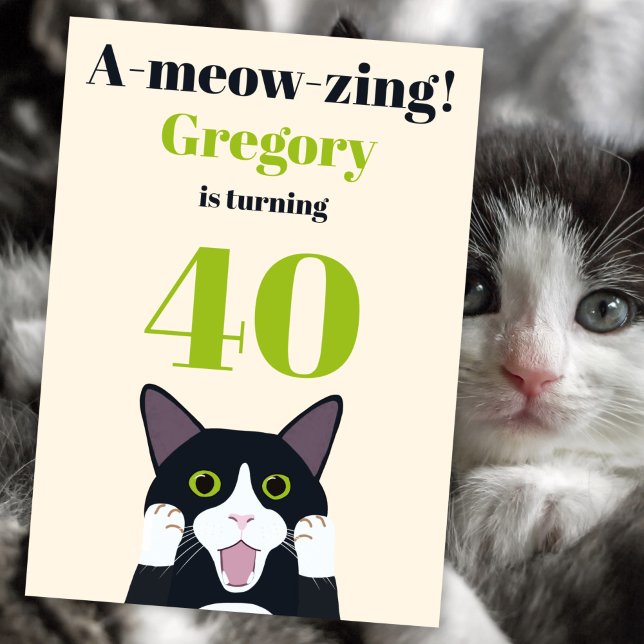 Funny cat pun 40th birthday party invitation (Creator Uploaded)