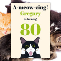 Funny cat pun 80th birthday party invitation