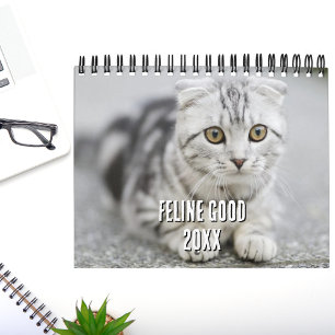 Funny Cat Puns Cute Kitten Cat Lover Photo  Calendar