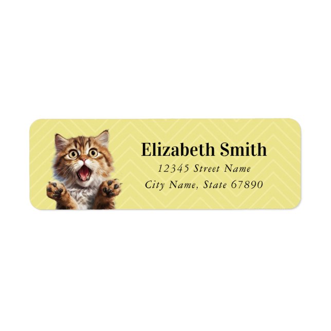 Funny Cat Return Address Labels (Front)