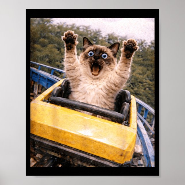 Funny Cat Roller Coaster Silly Meme Graphic Poster (Front)
