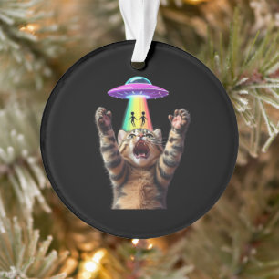 Funny Cat Selfie Alien UFO Hilarious Customisable Ornament