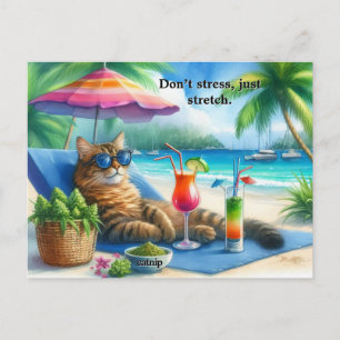 Funny Cat Slogan Kitty at Beach Postcard