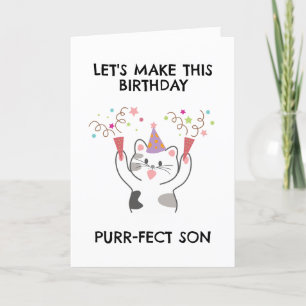 funny cat son birthday cards