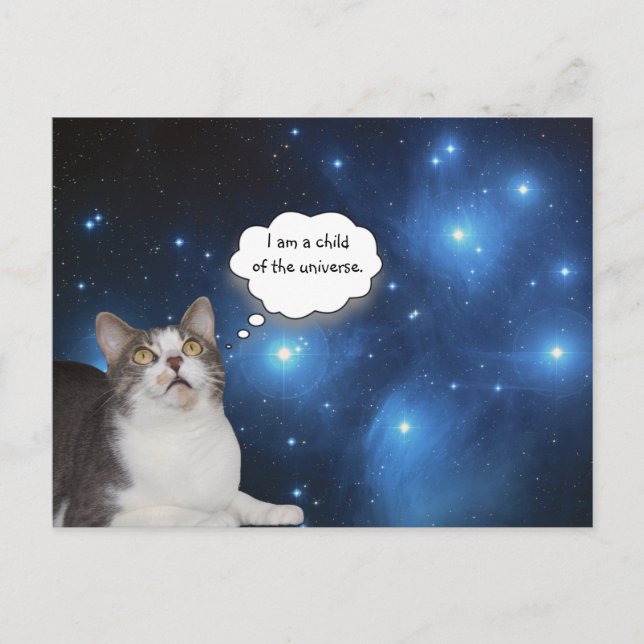 Funny Cat Star Gazer Postcard (Front)