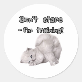 Funny Cat Sticker