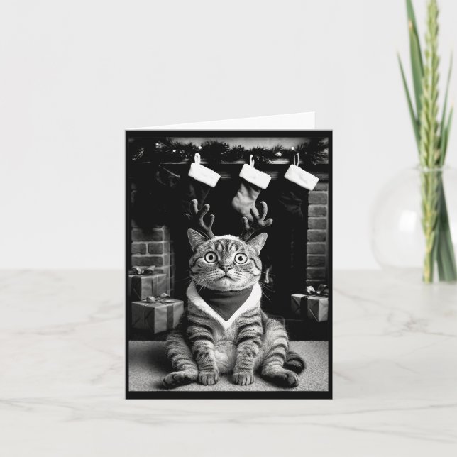 Funny Cat Taking A Selfie Christmas Xmas Pyjamas H Card (Front)