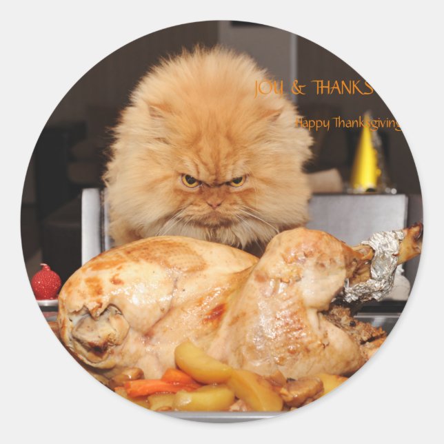 Funny Cat Thanksgiving  Classic Round Sticker (Front)