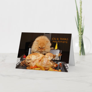 Funny Cat Thanksgiving postcard