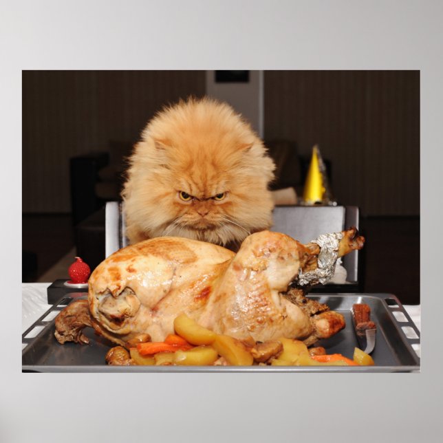 Funny Cat Thanksgiving Poster (Front)