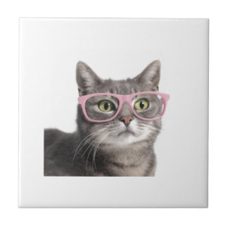 Funny cat tile