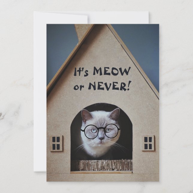 Funny Cat Wearing Glasses It's Meow or Never Quote (Front)