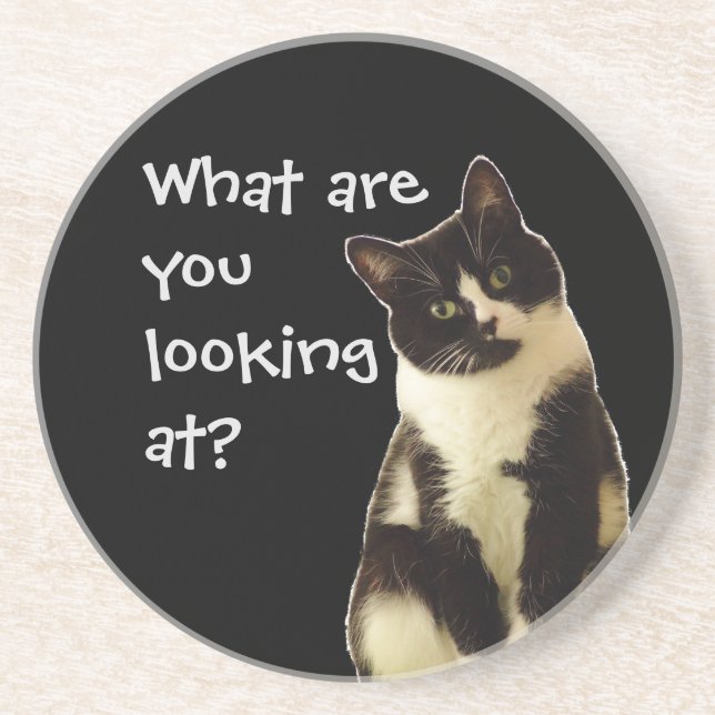 Funny Cat "What are you looking at!" Coaster (Front)
