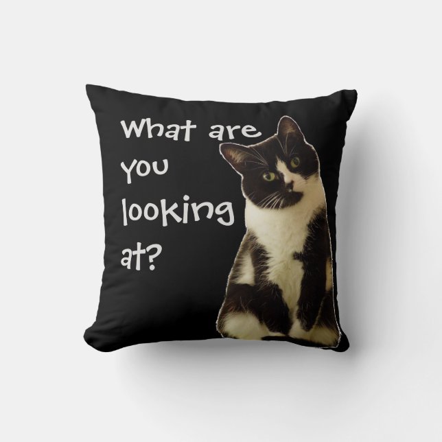 Funny Cat "What are you looking at!" Cushion (Front)
