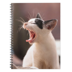 Funny Cat Yawning Notebook